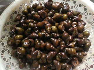 1、香辣螺蛳,先将买回来的螺蛳洗干净。这一步随意清洗就可以了，因为后面还要吐沙，吐完沙子再来多洗几遍就可以了