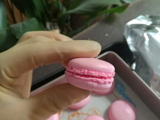 14、少女之心——粉色马卡龙,烤好的小马,出炉后晾凉,按大小配对。