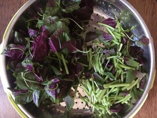 4、蒜蓉苋菜,切好后将苋菜的叶子和茎的部分着存放，炒菜时先炒茎的部分，然后再炒叶子，因为叶子熟的快。