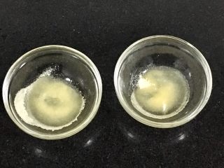 2、椰香抹茶糕,各自加入30克的饮用水(方子之外的用量)泡透。
