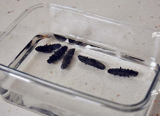 1、#八珍盛宴#醉美食光繁如花之啤酒海参虾,泡发海参。将干海参稍稍冲洗，放入无油干净的容器中，倒入足量的纯净水，开始泡发。