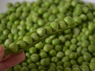 2、三色炒豌豆,一定要买新鲜带皮的豌豆,虽然剥皮麻烦,但是这样的比较嫩,口感好。