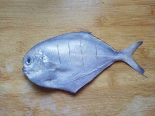 6、#咸味##鲜美的红烧小鲳鱼#,将鲳鱼身上划几刀，如图。