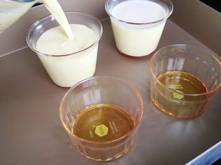 10、焦糖卡仕达布丁????,过滤后的蛋液倒入布丁碗中