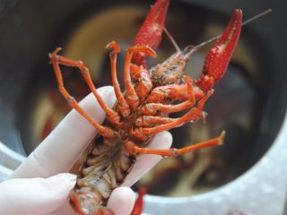4、麻辣小龙虾,用刷子刷洗虾身三遍，换三次水，捞出备用