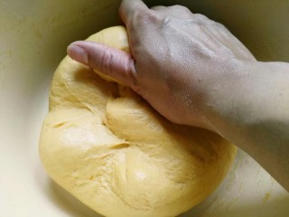 8、毛毛虫南瓜面包,用虎口力慢慢将玉米油与面团揉合均匀