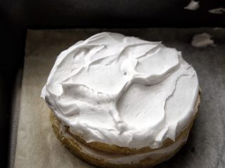 19、简单免打发的 桃花香草裸蛋糕,再盖上一片蛋糕片，抹第二层奶油