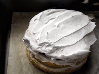 20、简单免打发的 桃花香草裸蛋糕,再盖上一片蛋糕片，抹第三层奶油