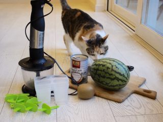 1、健康西瓜冰棍,先准备好所有需要的材料和装备