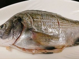 2、年年有鱼--清蒸海鲫鱼,装盘子里