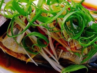 11、年年有鱼--清蒸海鲫鱼,摆上葱丝