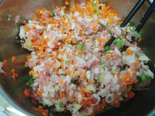 13、最爱包子+蔬菜肉包子,配料一样一样加，先加葱头，胡萝卜，搅拌均匀