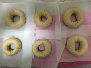 9、燕麦芝士贝果~,用同样步骤,把其余5个面团也弄成圆胖子的形状~6个萌萌的圆胖子初见形状~