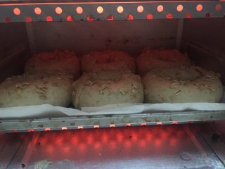 15、燕麦芝士贝果~,放入预热好的烤箱,200度20min左右,注意观察圆胖子表面,如果喜欢烤的颜色重一些就延长一点时间,或者后期提升温度~