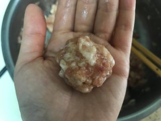 5、营养美味一锅炖,将拌好的牛肉馅揉成一个个丸子状