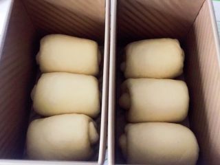 12、烫种牛奶吐司,全部放进吐司盒，收口的地方朝下。