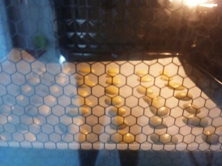 11、#家有烤箱#无添加,入口即化的蛋黄溶豆,100℃上下火烤25分钟