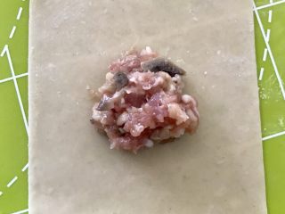 15、蘑菇馄饨,简单的包法：馄饨皮中间放入馅料。