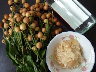 1、黄皮冰糖泡酒,各材料