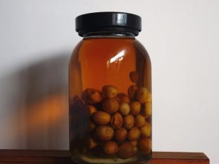 11、黄皮冰糖泡酒,3个月后的黄皮冰糖泡酒