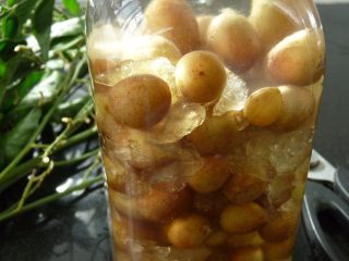 10、黄皮冰糖泡酒,盖好盖子，密封好，放置阴凉处