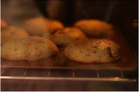 14、香草海盐巧克力大曲奇,搓成球的面团在烘烤过程中会自己慢慢摊开，所以不要担心哈哈。这样做出来的曲奇是偏厚偏软的，一口咬下去超满足啊啊啊！！！