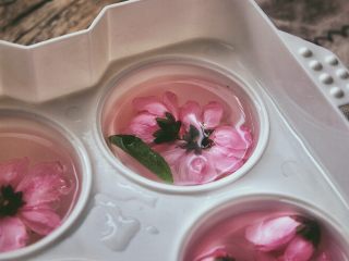 11、零失败高颜值的 桃花冻,放上桃花，冷藏3小时以上
