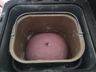 8、蛋黄豆沙蔓越莓包,面团基础发酵至两倍大