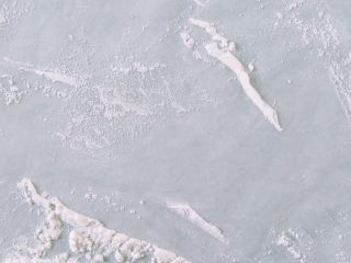 14、抹茶白玉卷,台面铺油纸，布一些玉米淀粉