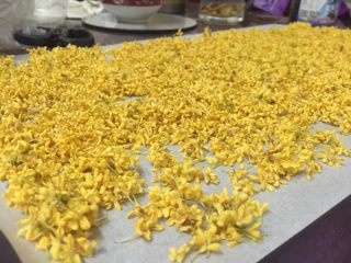 6、自制糖桂花,找一张厨房用纸把桂花晾干 最好是阴干 不过为了减少它老化我还借助了吹风机