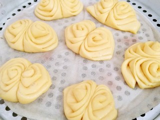 14、胡萝卜花卷,蒸锅放入足够的水烧开，铺上蒸布，摆放花卷，再次大火上气后，蒸12分钟。