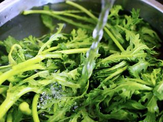 2、蚝油茼蒿肉丝豆干小炒,把茼蒿摘干净后用清水冲洗干净后用刀切段备用