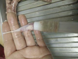 6、自制脆皮肠~好吃又放心,将肠衣整条的套在灌肠工具漏斗处,这一步可以先将肉馅挤压一点到漏斗口的地方,借助油脂的润滑作用,很容易就可以将肠衣套进去,肠头记得打个结哦。