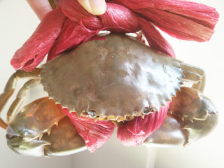 1、清蒸海蟹,将螃蟹放入清水中，浸泡2个小时，让螃蟹把身体内的脏东西吐出来