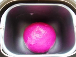 5、火龙果软欧包,面团和好后进行发酵。