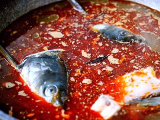 13、#辣味#麻辣水煮鱼,和所有的鱼排、加入盐和鸡精