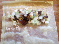 4、豆腐皮素春卷,油豆皮中间铺上三丁，撒一点点盐（我没有提前腌制馅料，因为不希望材料出水，想让蔬菜保持脆感）