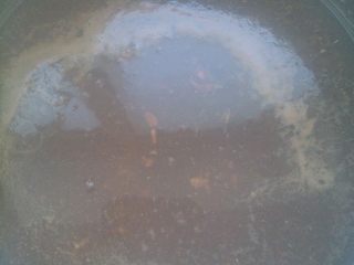 13、家常南乳扣肉,将汤汁烧热后，加入少许水淀粉勾芡，浇汁即可