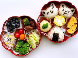 16、素味五彩便当,发挥你的想象空间……趁着好天气，让我们去郊游吧????????????????