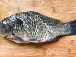 1、浓汤鲫鱼炖豆腐,洗净在鱼背上斜着切三刀,翻面也同样斜切三刀,一是为了鱼背上的肉厚实容易煮熟,二是为了让鱼肉更入味