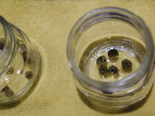 17、止咳清肺-杭白菊金枣果凝,将杭白菊放入果酱瓶底部