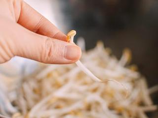2、豆芽炒鸡肉,清洗绿豆芽，洗之前把豆芽放在水中2 - 3分钟，这样它们就会再水化。这一步不仅能漂洗豆芽，还能让它们吸收一些冷水，以恢复新鲜。