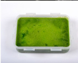 9、翡翠玉兔,将剩下的菠菜汁全部过滤进去,待其完全凝固(天热需要冷藏几小时)。