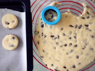 6、黑提司康,撒手粉（高筋面粉）防粘，擀平至1-1.5cm厚。模具沾手粉后再切，有葡萄干的的地方需要稍微用力按切模。