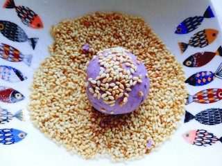 10、芝士紫薯球#附紫薯泥制作#,将揉圆的芝士紫薯球再芝麻容器中滚上芝麻。