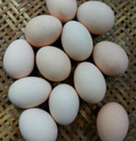 1、别恨自己的胃太小，这样做酱油炒饭让您一次爱个够 ,准备新鲜的生鸡蛋