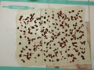 10、蔓越莓手撕包,均匀地分切成三份。