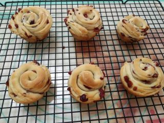 20、蔓越莓手撕包,烤好后取出放晾网上晾凉。