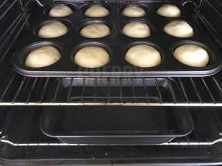 16、#家有烤箱#黑芝麻豆沙面包,将包好的面团，倒扣在马芬蛋糕的磨具中，放入有温度的烤箱中层，下层装一盒开水，进行第二次发酵。