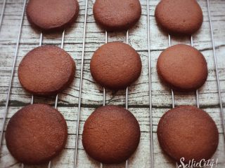 11、扭一扭，舔一舔，再泡一泡,烤好的饼干放在烤架上完全冷却。